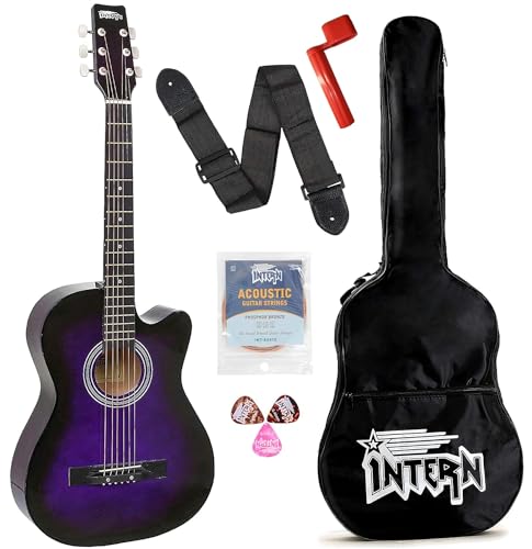 Image of Intern 38 Inch Acoustic Guitar for Beginners with Bag, Strap, Strings, Picks & String Winder | Cutaway Design | Steel String Guitar for Kids & Adults. (Purple)