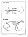 Animals with Backbones, Grades 1-3