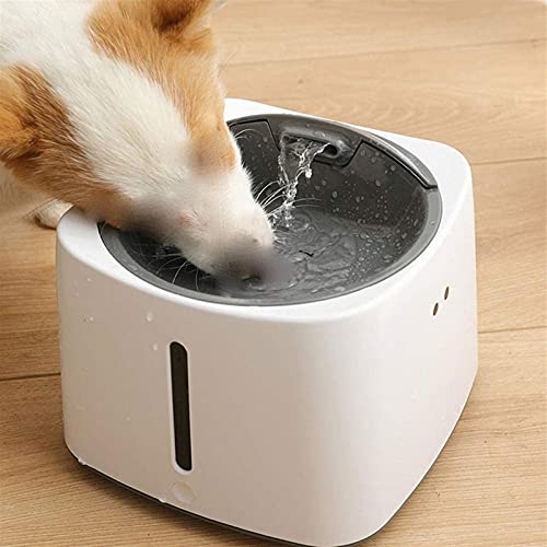 Fuente de agua para gatos con capacidad de 1.5 litros miniatura 5