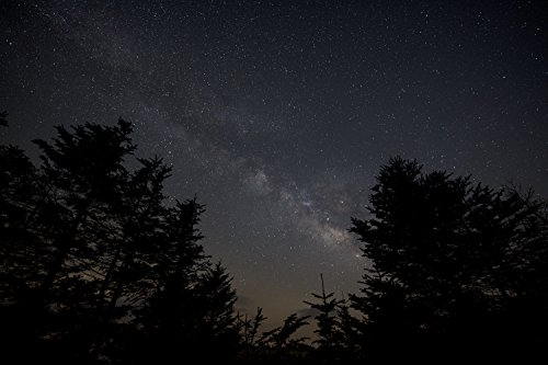 Sigma 450955 - Objetivo de 14 mm F1.8 DG AF HSM Art para réflex Nikon, Color Negro - Fernando Cortés