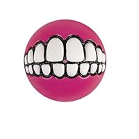 Rogz Grinz Fetch Treat Dispensing Ball Dog Toy Pink Small