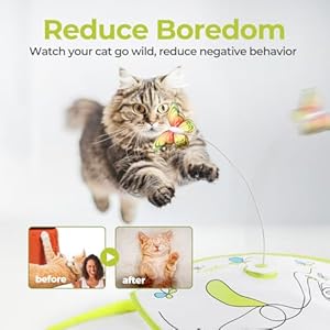 ALL-FOR-PAWS-2-in-1-Cat-Toys-Hide-N-Seek-Cat-Wand-Toy-Automatic-Kitten-Flutter-Toy-with-Butterfly-Spinner-Cat-Moving-Feather-Toy-for-Indoor-Cats-USB-Rechargeable - Cucciolini Doodles ALL-FOR-PAWS-2-in-1-Cat-Toys-Hide-N-Seek-Cat-Wand-Toy-Automatic-Kitten-Flutter-Toy-with-Butterfly-Spinner-Cat-Moving-Feather-Toy-for-Indoor-Cats-USB-Rechargeable