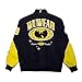 Wu-Tang Clan Souvenir Jacket (US, Alpha, Large, Regular, Regular, Yellow)