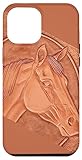 Sweet Case Boutique Texas Rodeo Aesthetics ponies