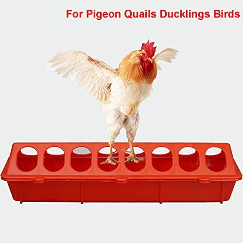 Jtuxcke 2Pcs Plastic Flip Top Chicken Feeders Plastic Small Poultry Feeder Drinker, Poultry Feeding Tray Small Chicken Feeder with Holes Poultry Trough Tool for Home Farm Chick Feeder