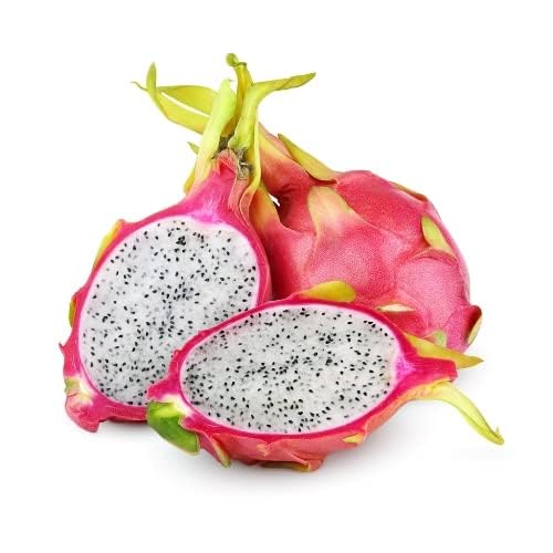 Image of Dragon Fruit Plant Combo Pack of 3 - All three Color Varieties- Yellow Skin, PinkSkin with White Flesh and PinkSkin with PinkFlesh.[v0.5]