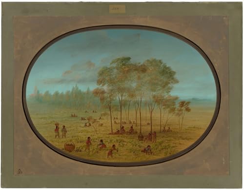 Cuadro en lienzo de George Catlin para la decoración de paredes elegantes del salón 60x90cm