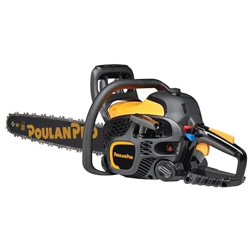 Poulan Pro 20 in. 50cc 2-Cycle Gas Chainsaw, PR5020