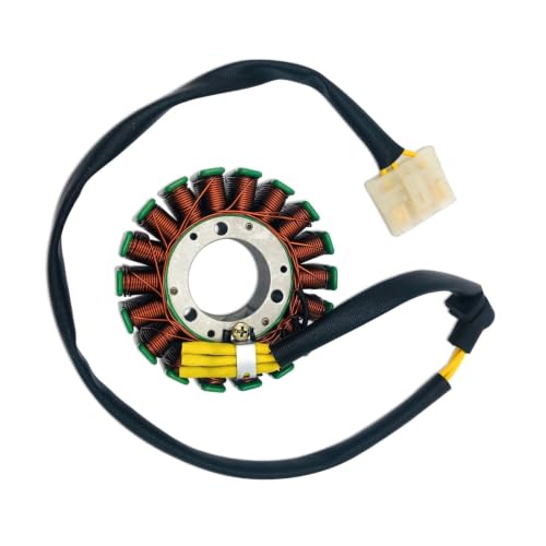 Stator de bobine d'allumage pour réparer les coupures moteur RS200 RC125