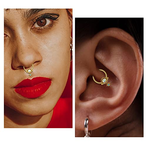 Melighting Septum Rings 16G Planet Septum Jewelry Surgical Steel Daith Piercing Jewelry Clear Cz Hinged Segment Helix Earrings Cartilage Piercing Jewelry Women #TOP4