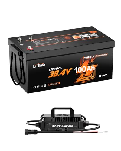 Litime 36V 100Ah Lithium Trolling Motor Battery with 25A Charger, Blue