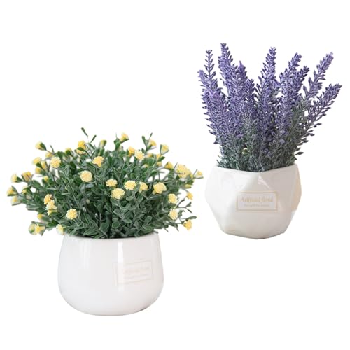 tFCN O[ lH ϗtA Zbg  A y CeA 