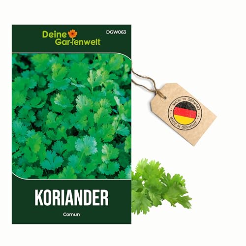 Koriander Comun Samen - Coriandrum sativum - Koriandersamen - Kräutersamen - Saatgut für 50 Pflanzen