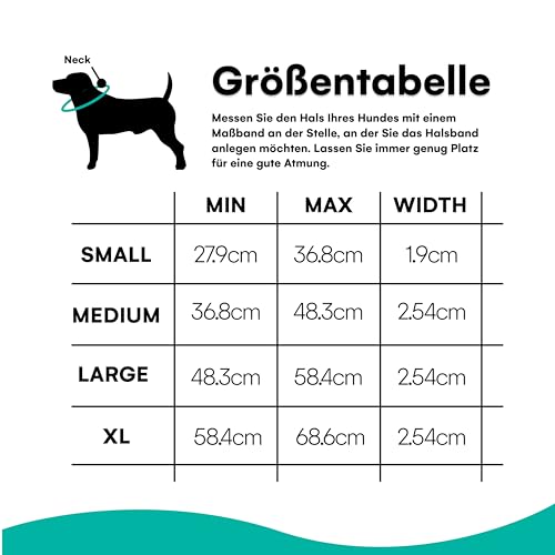 Black Rhino - Das Comfort Halsband Super Weiches Neopren Gepostertes Hundehalsband für alle Hunderassen - Hochbeanspruchbar Verstellbar Reflektierend Wetterfest (Groß, Aqua/Grau)