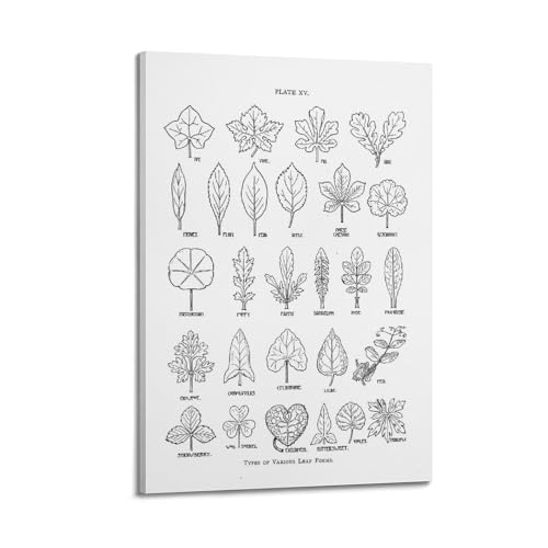 Samsung Écran PC Gaming 27 Odyssey OLED G8 G81SF 4K UHD 240Hz - vue 2