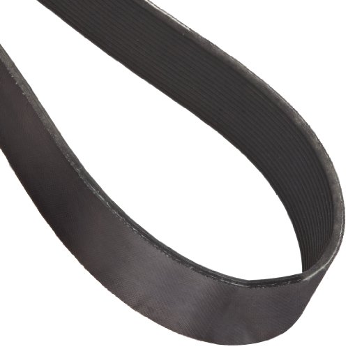 Courroie trapézoïdale nervurée Continental 15 nervures 81,3 cm