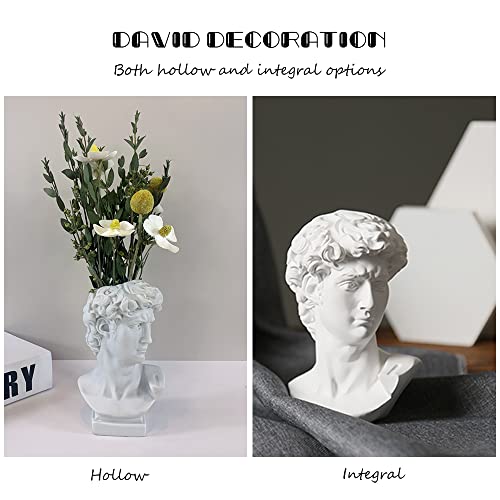 Fazhongfa Greek Statue Of David Bust Resin Sculpture For Roman Bookshelf Tabletop Office Home Decor 6.5 Inch David Head Artist Figurine Succulent Planters Dried Flowers Vase Makeup Brush Pen Holders #TOP4