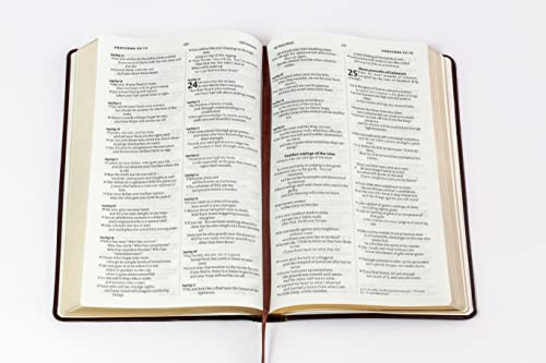 Image of NIV English Bible, Brown Leather Touch Cover, Easy to Read Fonts, Easy to Carry, Thin Bible, Anglicised Edition, Golden Page Leaf, Published by Lifeway India