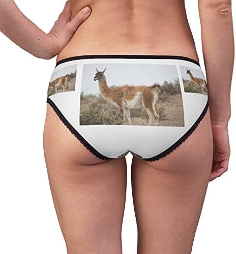 Guanaco Munching Panties, Guanaco Munching Underwear, Briefs, Cotton Briefs, Funny Underwear, Panties For Women
