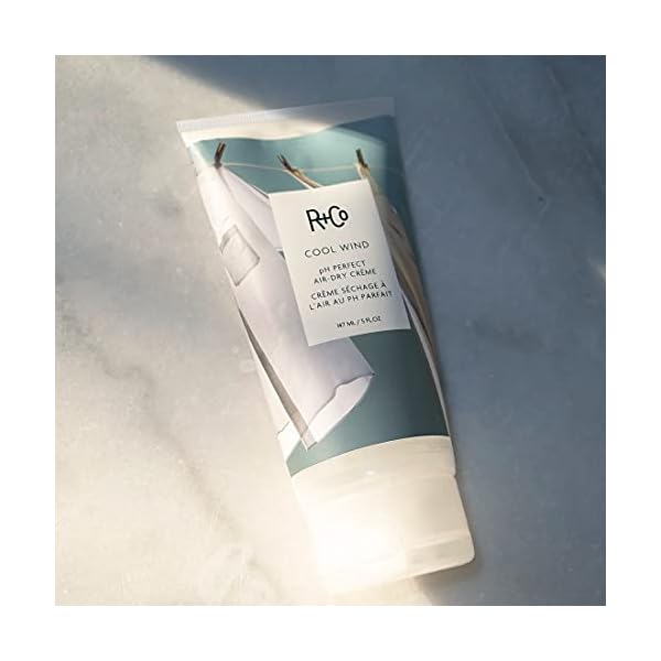 R+Co COOL WIND pH Perfect Air Dry CrÃ¨me