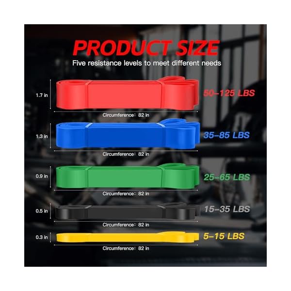 Pull Up Bands, Resistance Bands Set, Exercise Workout Bands for Men & Women, Ideal for Body Stretching, Physical Therapy and Muscle Training - Image 2