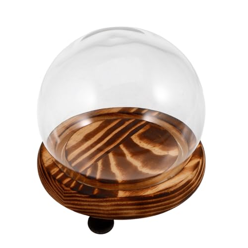 SOLUSTRE Glass Cover Ornaments Dome Display Case for Preserved Flowers Cloche Base Wooden St