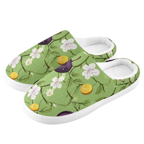 JUNZAN Beauty Java Plum Fruit Green Mens Home Cotton Slipper Wide Memory Foam Bedroom Shoes for Bedroom Birthday Presents 6-74