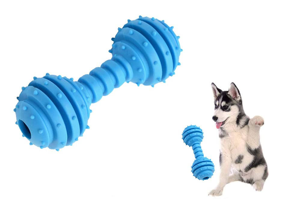Sage Square Dog Rubber Dumble Bell Toy, Reflective, Attractive, Colourful Toy, Durable, Natural Rubber Material, Provides for Exercise, Entertainment, Improve Intelligently, Skills (Small) (B0B8P25WSS) Amazon Price History, Amazon Price Tracker
