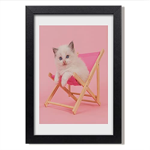 Cadre décoratif 20x30 cm chat pour personnaliser un mur vide avec humour