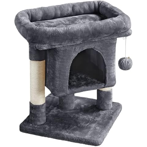 Abician Arbre à Chat Giffoir Cover