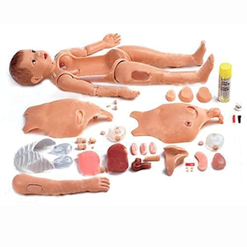 AjantaExports Child Multifunctional Advanced Manikin Unisex
