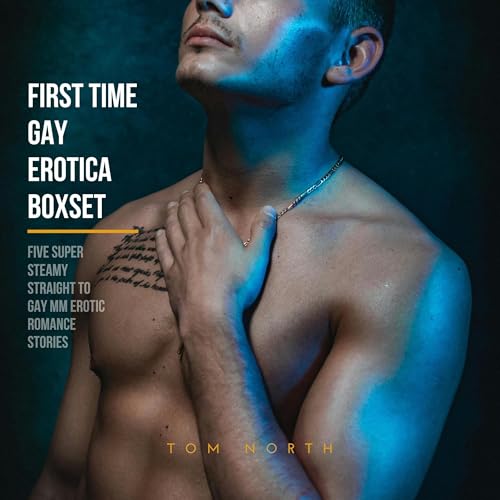 『First Time Gay Erotica Boxset』のカバーアート