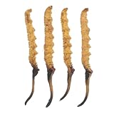 Supvox 4stücke Modell Eines Cordyceps-pilzes Für Dekoration Traditioneller Chinesischer Apotheken Und Orientalischer Medizinläden Künstlicher Arzneistoff Für Spiel-arztkoffer