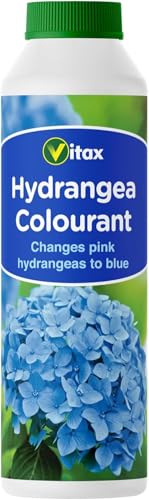 Vitax Hydrangea ColourantTransform Pink Hydrangeas to Blue Ideal for Acid Soil Easy-to-Use for Indoor & Outdoor Plants 500g