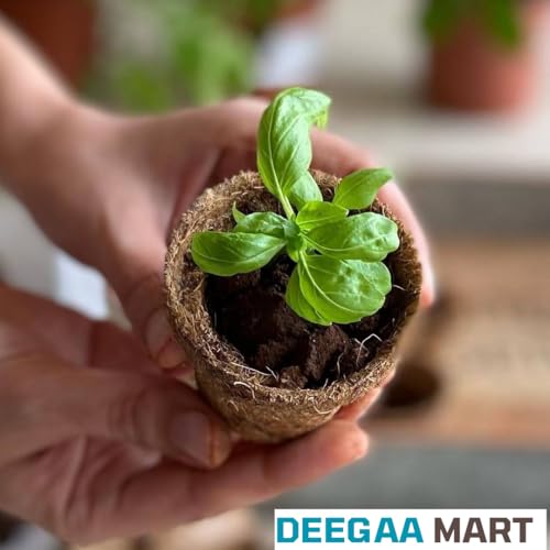 DEEGAA MART Potes de turfa biodegradáveis de coco de coco para iniciante de sementes e kit de mudas