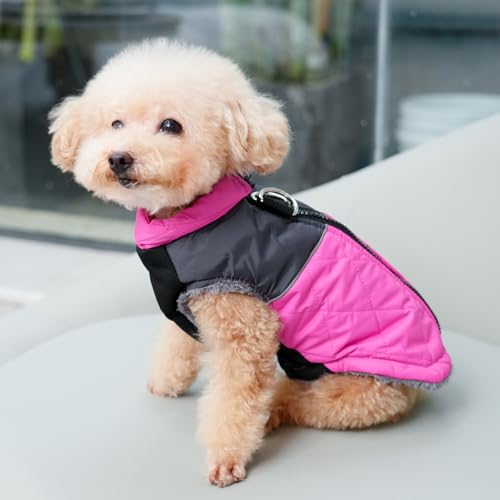JoyDaog Warm Fleece Dog Coats for Small Dogs,D-Rings Waterproof Puppy Jacket for Cold Winter,Pink S