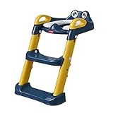 Potty Seat With Ladder