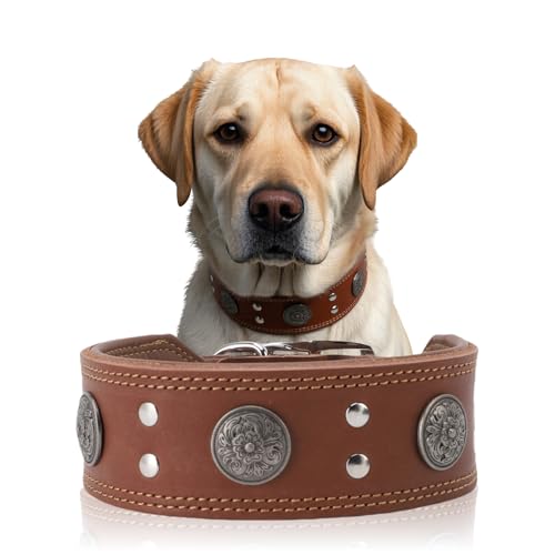 Lederhalsband Hund, 5cm Hundehalsband Leder Breit, Einstellbar Hunde Halsbänder Mit Metallschnalle, Halsband Hund Breit Für Große Und Mittelgroße Hunderassen XL