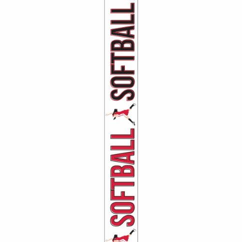 Offray, Softball Girls Sports Craft Ribbon, 7/8-Inch x 9-Feet