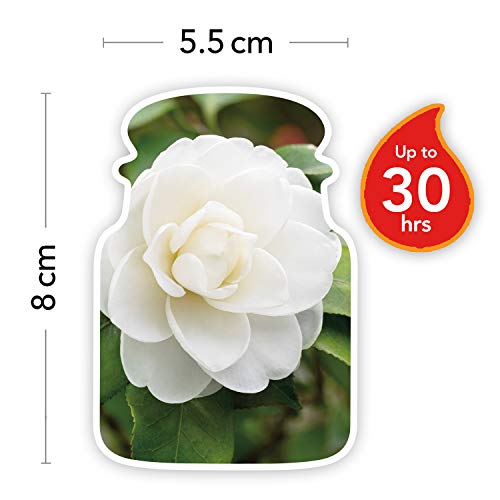 Yankee Candle Candela Profumata in Giara Piccola