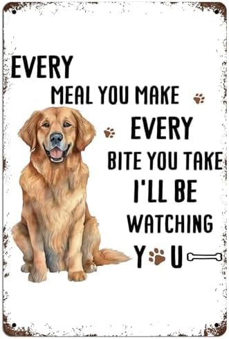 Glplokpj Metal Sign10 Funny Golden Retriever Kitchenvintage Tin Signs Metal Wall Arts,Funny Golden Retriever Tin Sign,Golden Retriever Gifts For Dog Lover,Golden Retriever Decorative For Kitchen 5.5X8 Inch