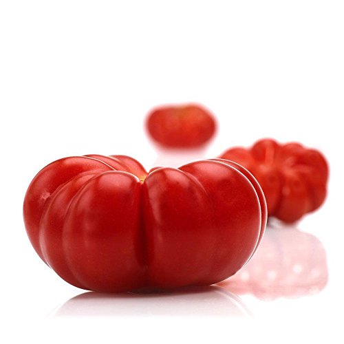Rosepoem 50 Unids Semillas de Jardín Tomate Rojo Beefsteak Brandywine D2845A Semillas de Herencia Orgánica