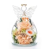 FUHITIM Geschenke für Valentinstag, Mutter, Muttertag, konservierte Champagnerrose, Engel für immer, Blume in Glaskuppel, Geburtstag, Valentinstag, Geschenke für Oma, Ehefrau, Freundin, Heimdekoration