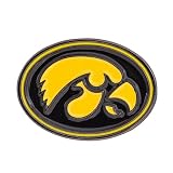 Desert Cactus University of Iowa Hawkeyes Metal Lapel Pin Enamel Finish (A)