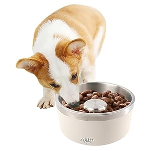 AFP Dog Slow Feeder Bowls Stainless Steel,Non-Slip Heavy Duty Dog Cat Bowls,Puppy Slow Feeding Dog Bowl,30oz/3.8cups,White,900ml