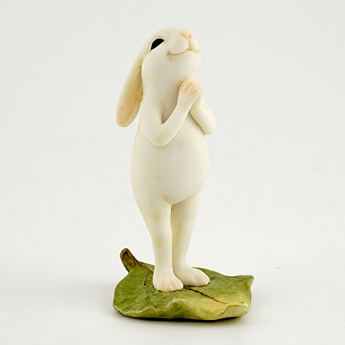 Top Collection Miniature Fairy Garden & Terrarium Yoga