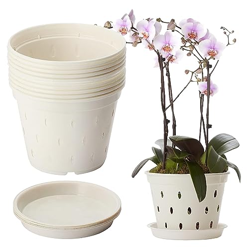 BestAlice 10 Pack Orchid Pot, 5.6 Inch Orchid Pots with Holes and Saucers
