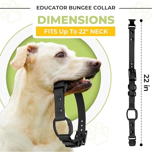 Image of 3 /4 inch e-Collar Bungee Collar Strap, Waterproof (Blue, 3 /4 inch)