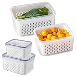 Trasylph 2 Pack Fruit Storage Containers for Fridge with Removable Colanders, Dishwasher & Microwave safe Produce Storage Containers with Lids Keep Fruits, Vegetables, Berry, Meat Fresh longer
