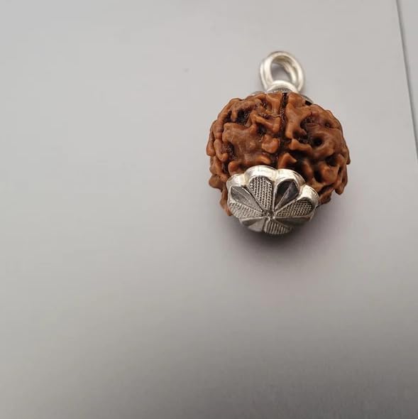 16mm Cheh Mukhi Rudraksha Original Certified 6 Face Rudraksha Pendant छह मुखी रुद्राक्ष Blessed Mahadev For Locket